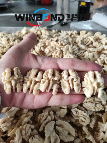 麻子核桃仁去皮機 華邦機械供應(yīng) 云南核桃仁脫皮機