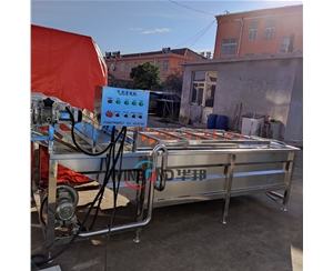 杏鮑菇清洗機(jī) 全自動(dòng)菌類(lèi)清洗生產(chǎn)線(xiàn)