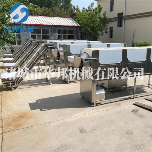 休閑核桃仁去皮機 去皮清洗 核桃仁深加工設(shè)備
