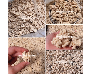 經(jīng)濟(jì)型核桃仁脫皮機(jī) 核桃仁脫衣設(shè)備 長(zhǎng)期供應(yīng)